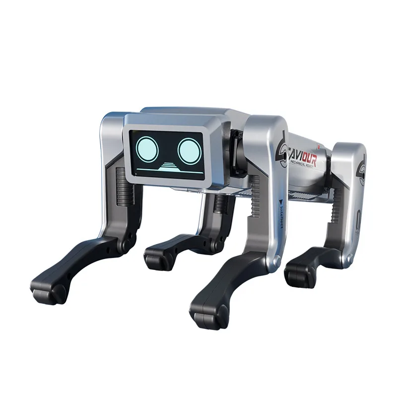 雨燕直播
